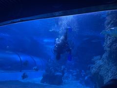 -左海海底世界
