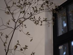 -Fridi Patisserie Cafe