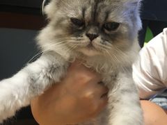 -藦茜花园宠物主题亲子互动体验馆(国顺东路店)