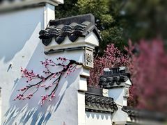 -无锡梅园公园