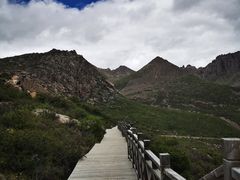 -莲宝叶则景区