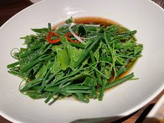 山茶油丝瓜尖-清水亭湖北菜(大屯DT51店)