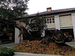 -烟台山景区