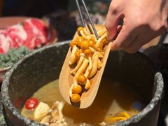 -芸山季·云南野生菌火锅(人民广场来福士店)