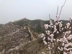 -蟠龙山长城景区