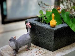 -风车面包