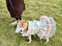 -上海神旺大酒店