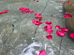 -苏州环秀晓筑养生度假村