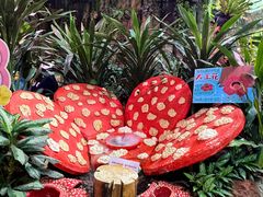 -正佳雨林生态植物园