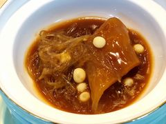 -诺莱仕游艇会