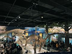 -国家自然博物馆
