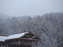 -硗碛藏寨·神木垒景区