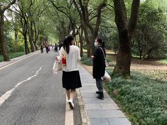 -东湖落雁景区