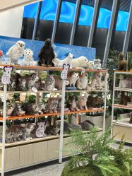 -IMON·HANSA潮玩玩偶毛绒玩具(通州万象汇店)