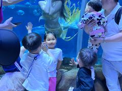 -华夏文旅海洋公园