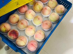 -老袁家蜜桃农场·阳山水蜜桃