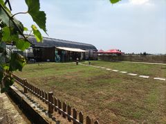 -美家乐农庄·露营·团建(大治路店)