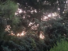 -Tubestation站点比萨(五道营店)