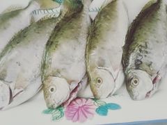 -刘记糟粕醋海鲜烧烤