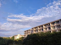 -安徽大学(磬苑校区)