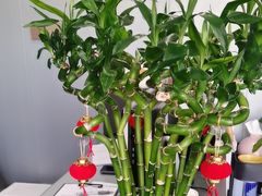 -田凤波推拿.按摩养生(幸福店)