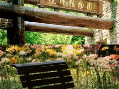 -杭州植物园