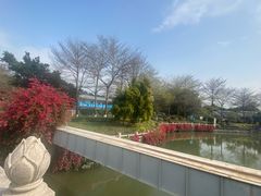 -海珠湖公园