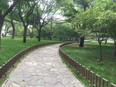 -陶然亭公园