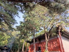 -潭柘寺景区