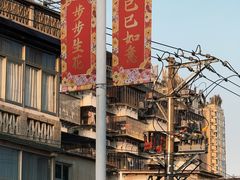 -溪岸路花鸟市场