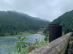 -武陵山森林公园