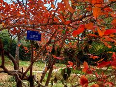 -国家植物园南园