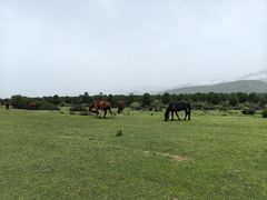 -新疆那拉提国家旅游度假区