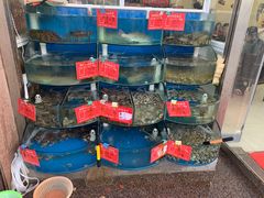 水产区-海之味海鲜大咖·家常菜