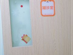 -格蕾宠物医院24H·猫科·肿瘤科·骨科中心(福州总院)