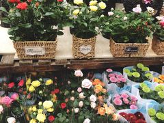 -秦美花卉(天朗·莱茵小城2期店)