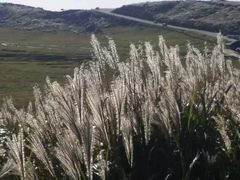 -阿苏山