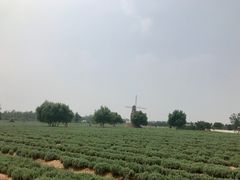 -渔岛海洋度假区