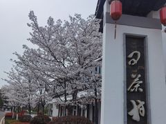 -花博汇(知音花月夜)