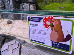-正佳雨林生态植物园