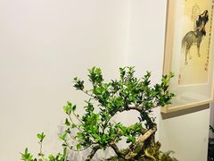 -德迹斋禅意文化茶馆·茶空间·商务洽谈•宴席(桃园店)
