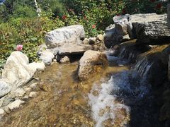 -静之湖湖畔餐厅