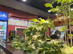 -洞庭家宴·头牌甲鱼(广渠门店)