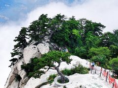 -华山风景名胜区