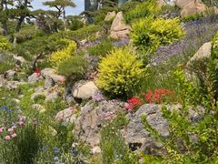 -罗红摄影艺术馆