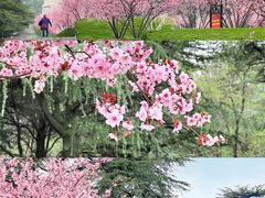-淮海战役纪念馆