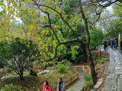 -塔川景区