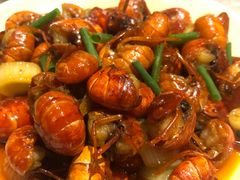 -巴厘龙虾·榜首油焖大虾(音乐学院·沿江酒馆店)