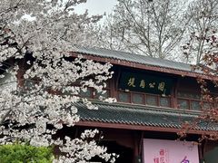 -堤角公园