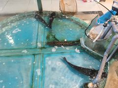 -屯靠屯地锅王(西南路店)